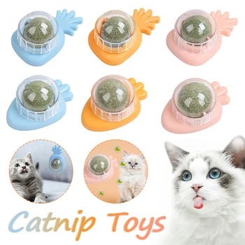Catnip Pet Brinquedos Comestíveis Catnip Bola De Segurança Gato Saudável Hortelã Gatos Em Casa Perseguindo Jogo Brinquedo Produtos Limpar Os Dentes Estômago Nêveda