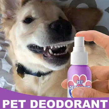 Cães Respiração Spray, Gatos, Hálito Fresco, animal de Estimação Desodorante Inodoro Oral Limpar Spray 60ml