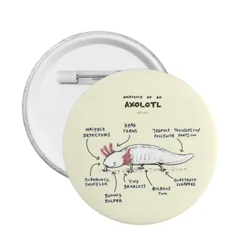 Axolotl Hexágono Salamandra Anatomia Pin Personalizável Emblema Mochila Emblemas Broche Broches De Pinos De Metal Amantes